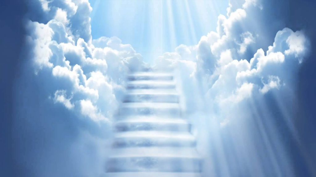 cielo