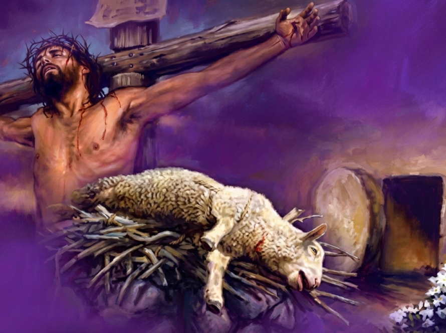 Jesús el cordero, misericordia de Dios