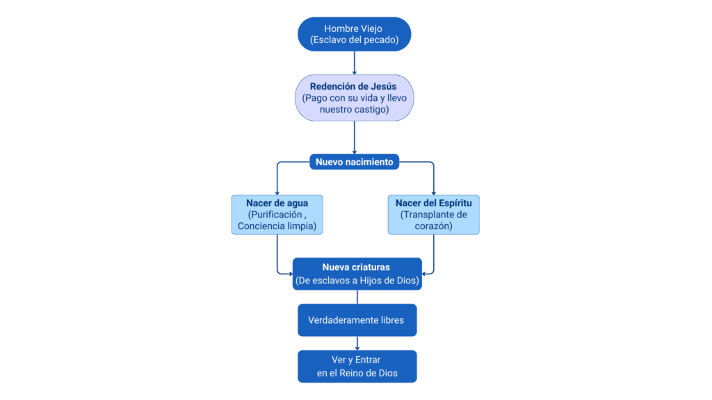 Diagrama explicativo sobre como alcanzar la verdadera libertad